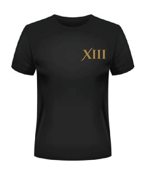 T-shirt "la dompteuse" - XIII Les arcanes du motard (Copie)