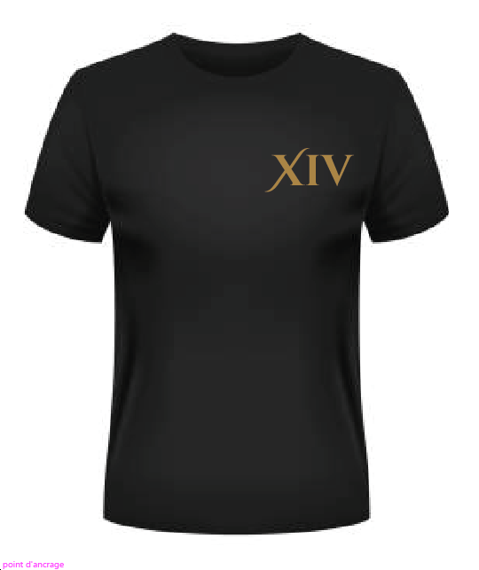 T-shirt "la glisseuse" - XIV Les arcanes du motard