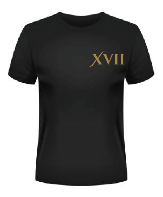 T-shirt "le fougueux" - XVII Les arcanes du motard